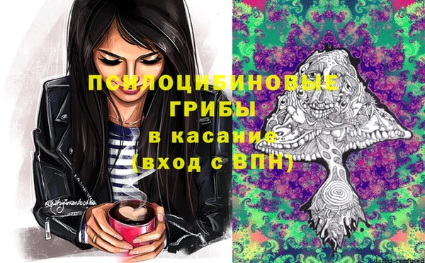 трава Арсеньев